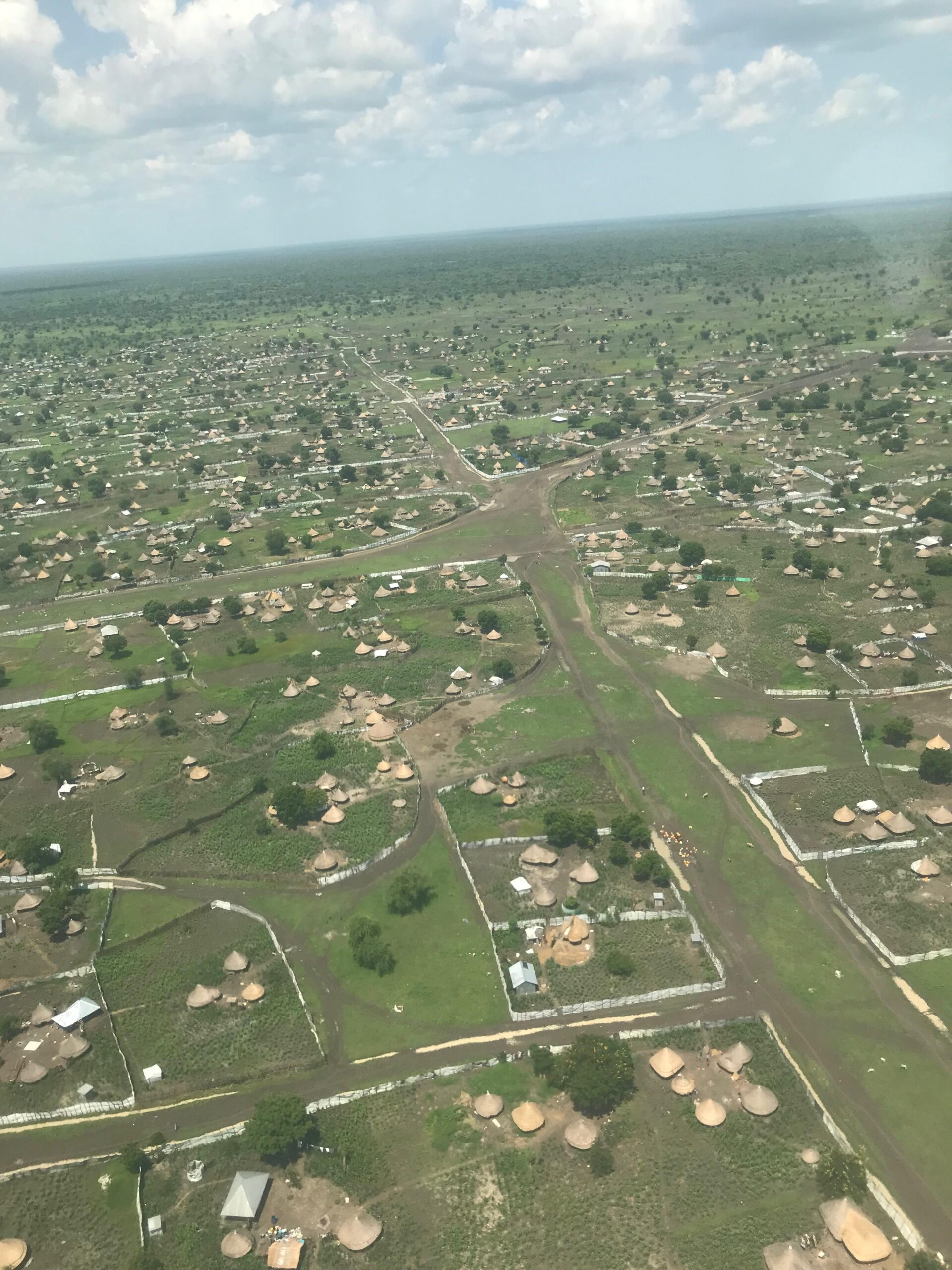The role of the diaspora in the conflict in Jonglei State: The case of ...