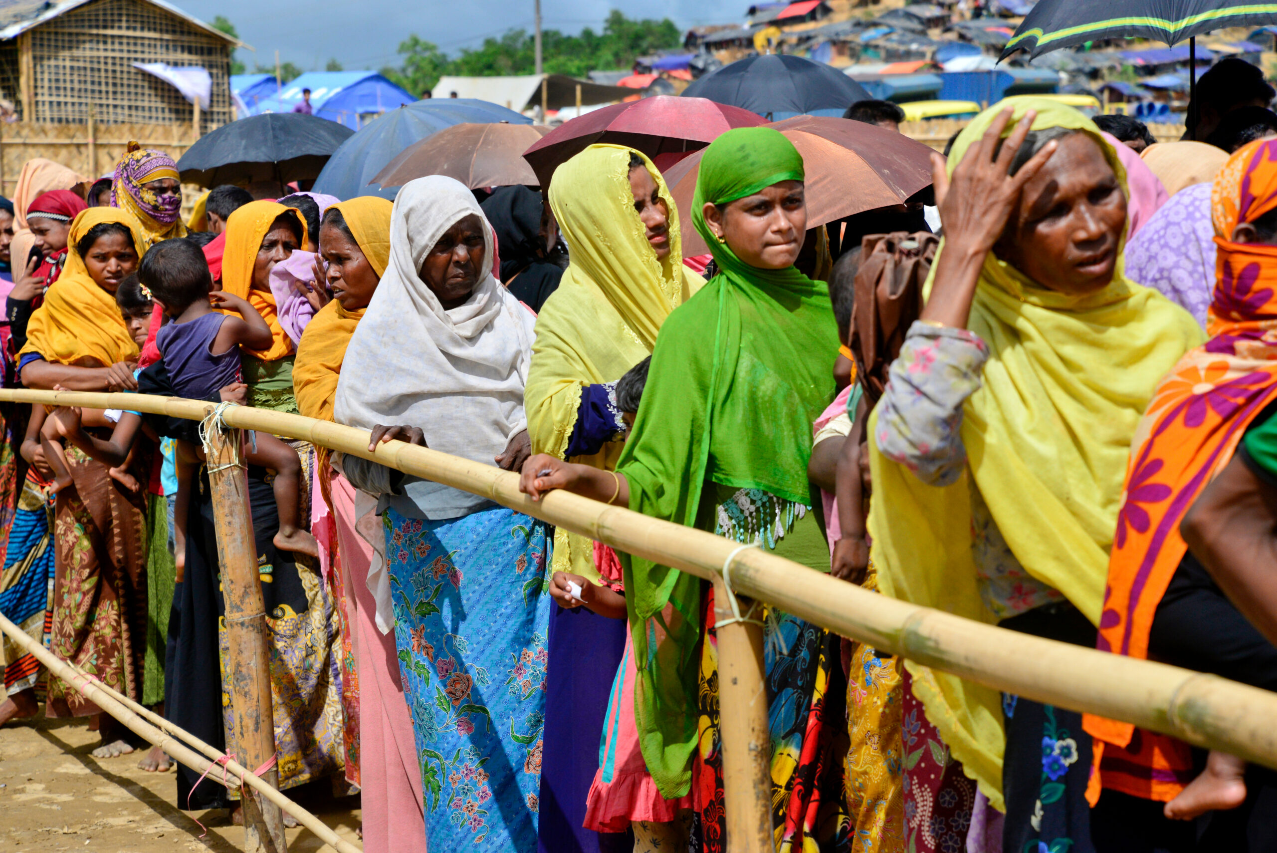 Credit: Shutterstock/Mamunur Rashid